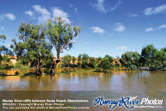 Murray River cliffs between Swan Reach-Blanchetown