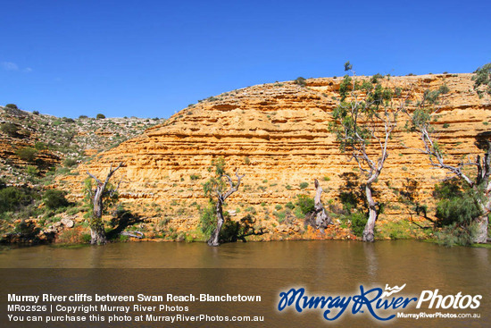 Murray River cliffs between Swan Reach-Blanchetown