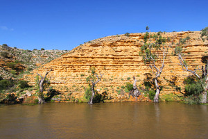 Murray River cliffs between Swan Reach-Blanchetown