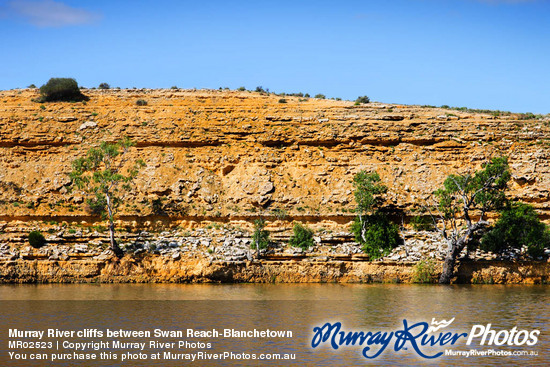 Murray River cliffs between Swan Reach-Blanchetown