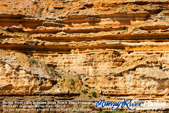 Murray River cliffs between Swan Reach-Blanchetown