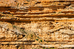 Murray River cliffs between Swan Reach-Blanchetown