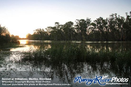 Sunset at Wilkadene, Murtho, Riverland