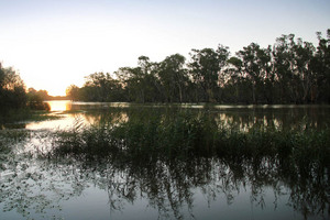 Sunset at Wilkadene, Murtho, Riverland