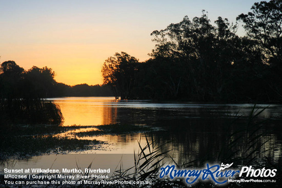 Sunset at Wilkadene, Murtho, Riverland