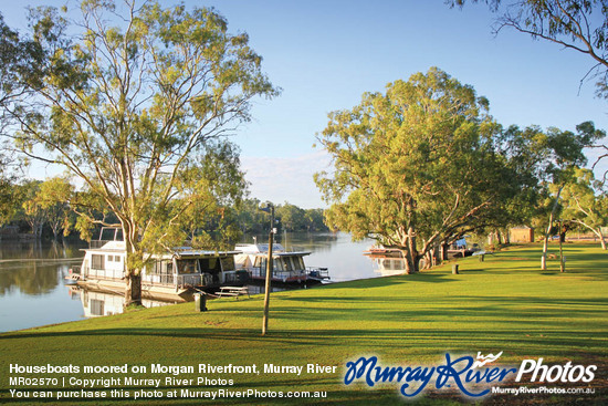 Houseboats moored on Morgan Riverfront, Murray River