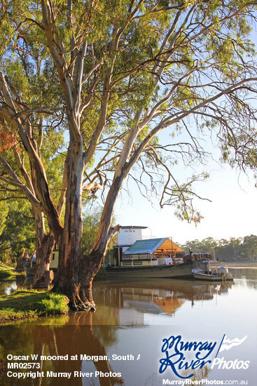 Oscar W moored at Morgan, South Australia