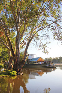 Oscar W moored at Morgan, South Australia