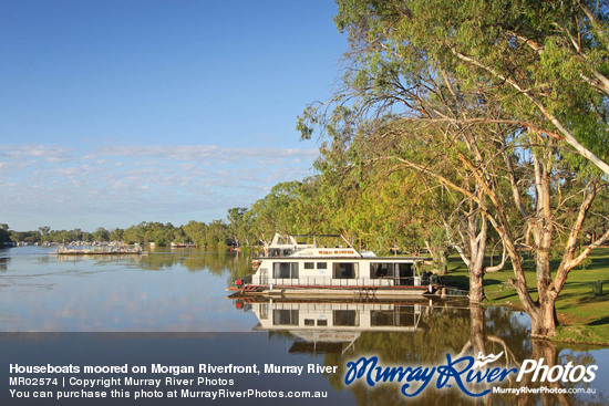 Houseboats moored on Morgan Riverfront, Murray River