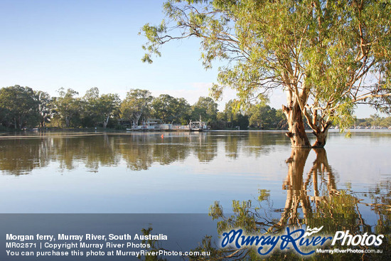 Morgan ferry, Murray River, South Australia