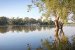 Morgan ferry, Murray River, South Australia