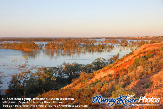 Sunset near Lyrup, Riverland, South Australia