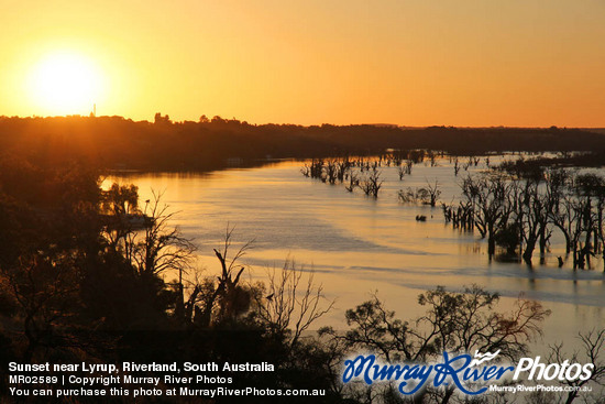 Sunset near Lyrup, Riverland, South Australia