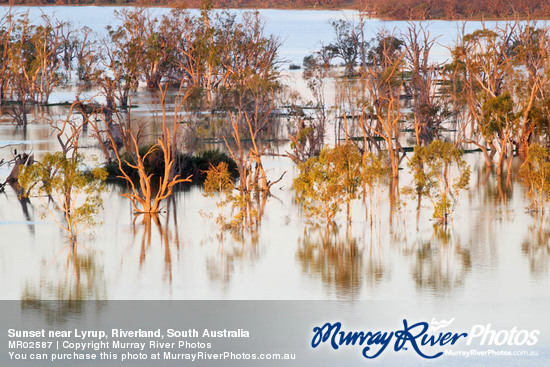 Sunset near Lyrup, Riverland, South Australia