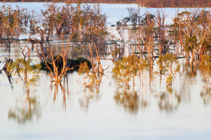 Sunset near Lyrup, Riverland, South Australia