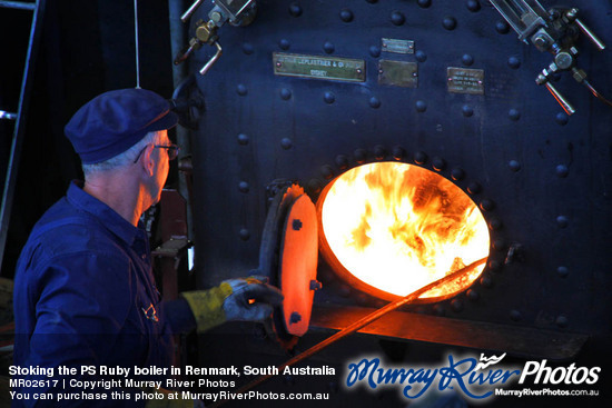 Stoking the PS Ruby boiler in Renmark, South Australia