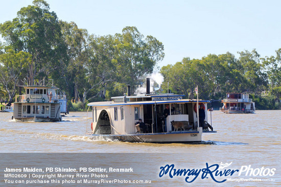 James Maiden, PB Shiralee, PB Settler, Renmark