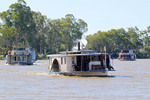 James Maiden, PB Shiralee, PB Settler, Renmark