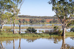 Riverscape and vineyards in background