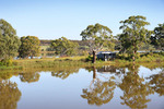 Riverscape near Swan Reach