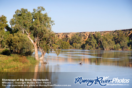 Riverscape at Big Bend, Murraylands