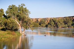 Riverscape at Big Bend, Murraylands