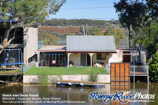 Shack near Swan Reach