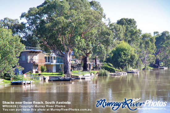 Shacks near Swan Reach, South Australia