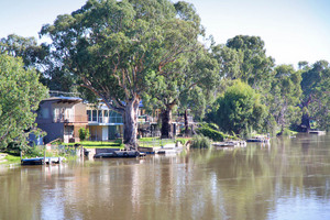 Shacks near Swan Reach, South Australia