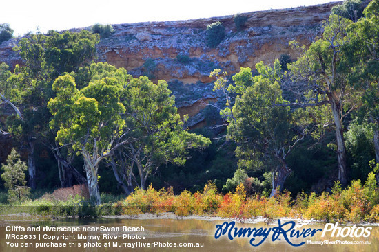 Cliffs and riverscape near Swan Reach