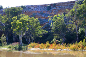 Cliffs and riverscape near Swan Reach