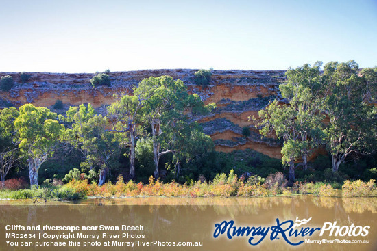 Cliffs and riverscape near Swan Reach