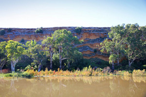 Cliffs and riverscape near Swan Reach