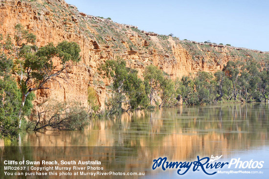 Cliffs of Swan Reach, South Australia