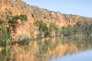 Cliffs of Swan Reach, South Australia