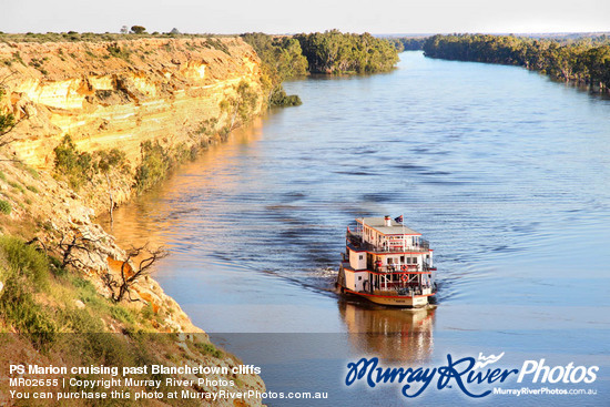 PS Marion cruising past Blanchetown cliffs