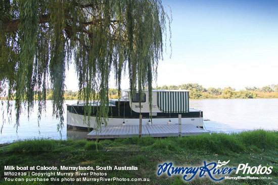 Milk boat at Caloote, Murraylands, South Australia