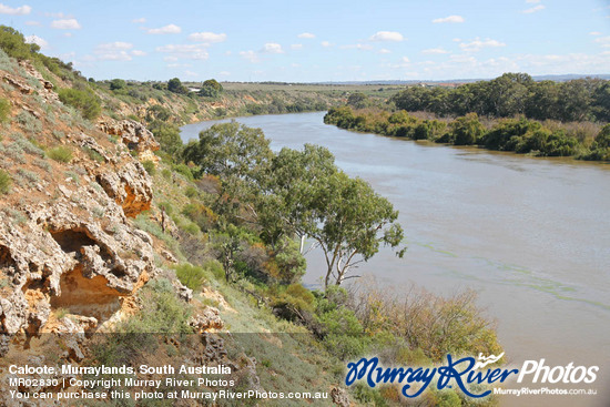 Caloote, Murraylands, South Australia