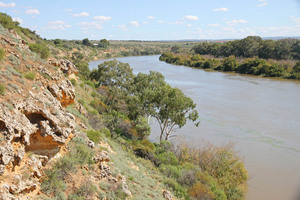 Caloote, Murraylands, South Australia