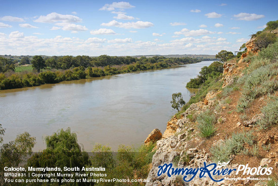 Caloote, Murraylands, South Australia