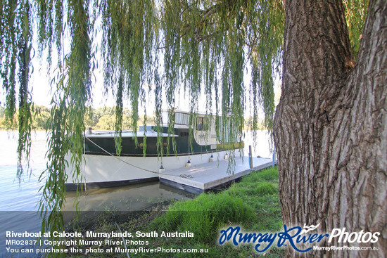 Riverboat at Caloote, Murraylands, South Australia