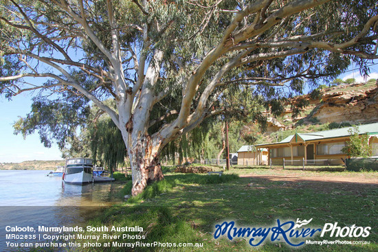 Caloote, Murraylands, South Australia