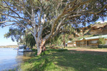 Caloote, Murraylands, South Australia