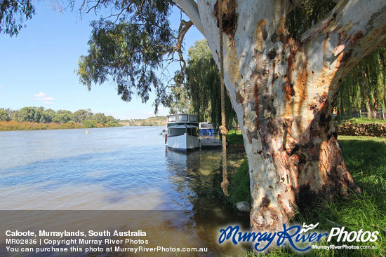 Caloote, Murraylands, South Australia