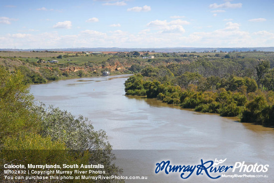 Caloote, Murraylands, South Australia