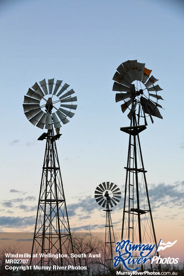Windmills at Wellington, South Australia