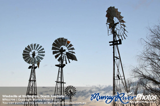 Windmills at Wellington, South Australia