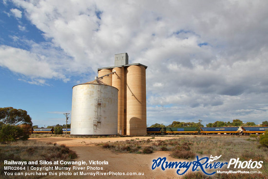 Railways and Silos at Cowangie, Victoria