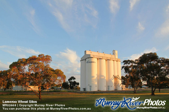 Lameroo Wheat Silos