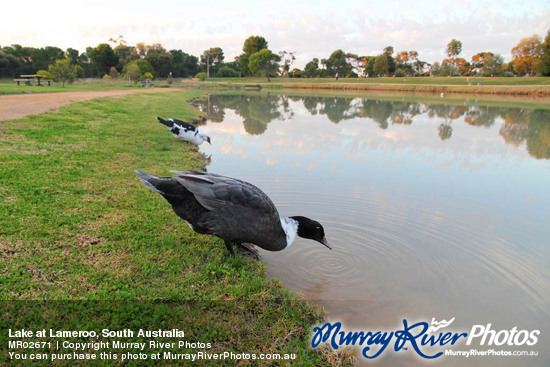 Lake at Lameroo, South Australia